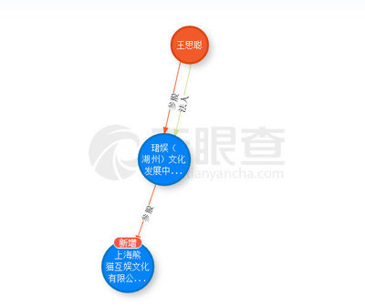 從留學咨詢到投資神話 透視王思聰的資本敘事與潛在風險